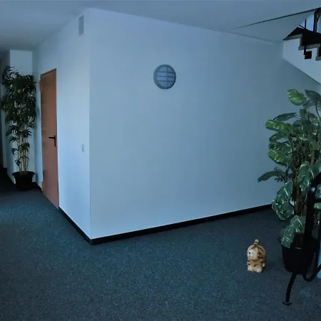 Apartment Modern In With Garden *