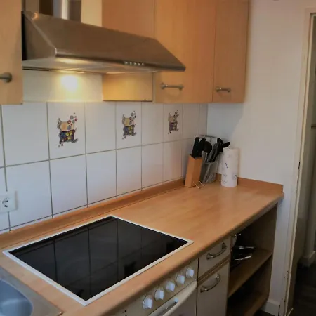 Modern In With Garden Apartment