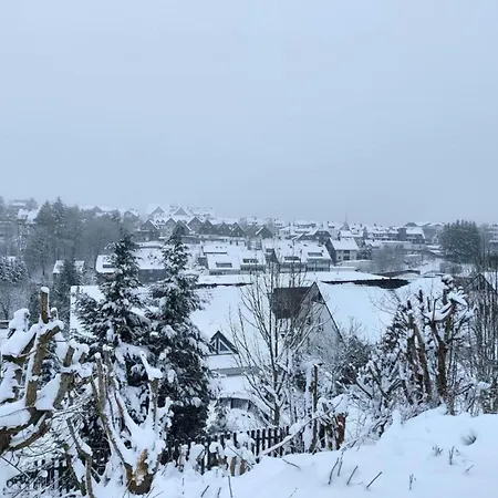 Modern In With Garden Apartment Winterberg